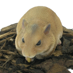Pet Pals Hamster - Resin Garden Ornament