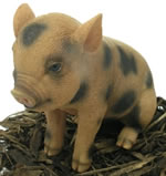 Pet Pals Sitting Micro Pig - Resin Garden Ornament