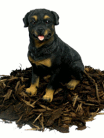 Minature Rottweiler - Dog Resin Garden Ornament