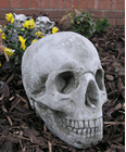 Skull Stone Garden Ornament Statue
