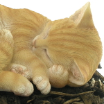 Extra image of Sleeping Ginger Cat - Resin Garden Ornament