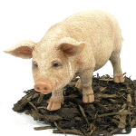 Standing Pig - Resin Garden Ornament