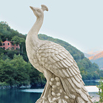 Staverden Peacock on an Urn Resin Ornament