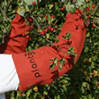 Planto Arm Protectors