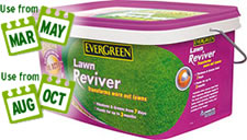 Evergreen Lawn Reviver - 1.5kg