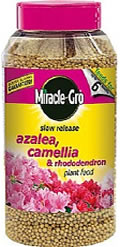 Slow Release Ericaceous, Azalea, Camellia & Rhododendron Plant food