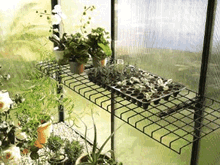 Bio Green Bruno Folding Greenhouse Shelf