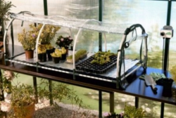 Jumbo Propagator