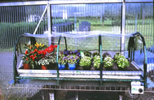 Jumbo Propagator