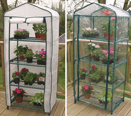 [Image: clear-plastic-mini-greenhouse.jpg]