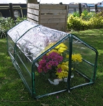 Mini Cold Frame Greenhouse