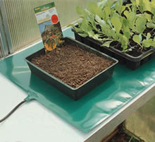 Bio Green Warming Pad