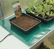 Bio Green Warming Pad