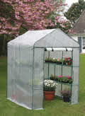 Walk In Greenhouse