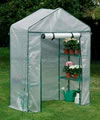 Mini Walk in Greenhouse