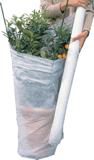 Winter Frost Fleece