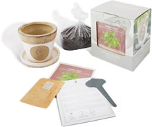 Basil Growing Set