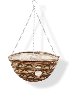 Image of Fan Leaf Bizzie Lizzie Hanging Basket - 35cm