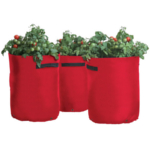 Haxnicks Tomato (Bush and Trailing) Patio Planters - Pack of 3