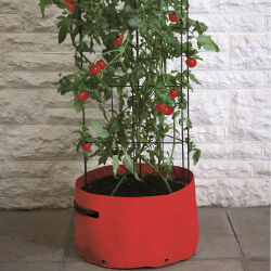 Haxnicks Tomato (Climbing) Patio Planter