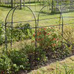 Haxnicks Long Steel Fruit Cage