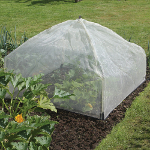Haxnicks Giant Easy Lantern Cloche - Micro Mesh