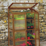 Haxnicks Hardwood Plant House