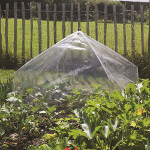 Haxnicks Giant Easy Lantern Cloche - Poly