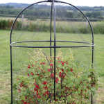 Haxnicks Round Steel Fruit Cage