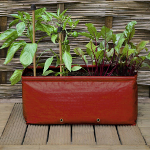 Haxnicks Short Balcony Patio Planter - Pack of Two