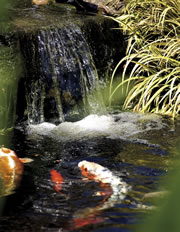 Hozelock Cyprio Pond Pumps