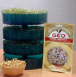 Geo Seed Sprouter