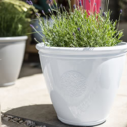 Small Image of Kelkay Plant Avenue Trad. Collection Small Eden Emblem Pot in White