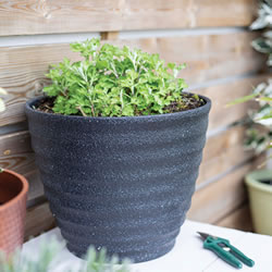 Small Image of Kelkay Plant Avenue Stone Collection Large Hudson Pot in Black