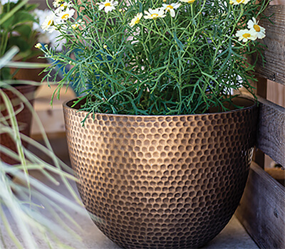Image of Kelkay Plant Avenue Urban Collection Small Elements Pot in Gold