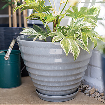 Image of Kelkay Plant Avenue Vale Pot with Built in Saucer in Grey