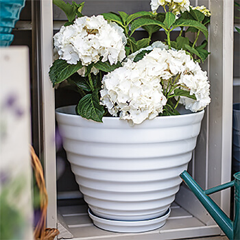 Image of Kelkay Plant Avenue Vale Pot with Built in Saucer in White