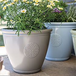 Small Image of Kelkay Plant Avenue Trad. Collection Large Eden Emblem Pot in Grey