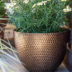 Small Image of Kelkay Plant Avenue Urban Collection Small Elements Pot in Gold
