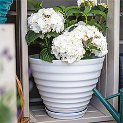 Small Image of Kelkay Plant Avenue Vale Pot with Built in Saucer in White