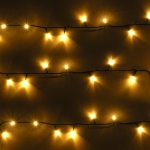Warm White Festive LED Lights - 100 Static Lights