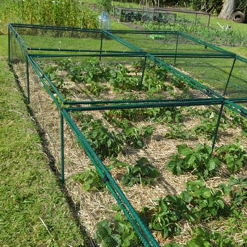 Extra image of Standard Strawberry Cage 46cm x 244cm x 914cm with Bird Netting