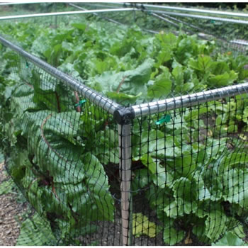 Extra image of Deluxe Strawberry Cage 46cm x 244cm x 914cm with Butterfly Netting