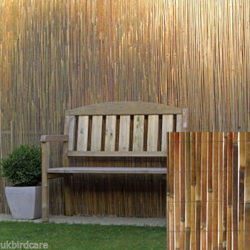 Image of 2m tall x 3m long Split Bamboo Screening