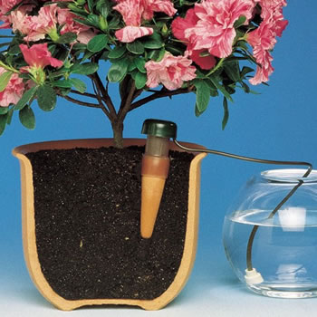Image of Blumat Automatic Pot Plant Waterer - Pack 3