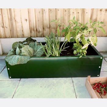 Image of (Pack of 2) Everlasting Plain Raised Beds 100cm Long x 50cm Wide