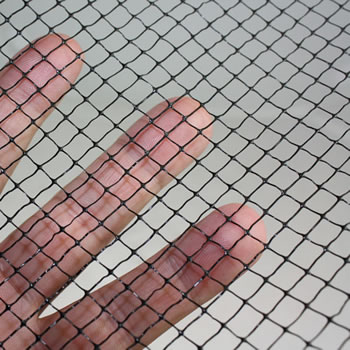 Image of Standard Vegetable Cage 122cm x 122cm x 183cm with Butterfly Netting
