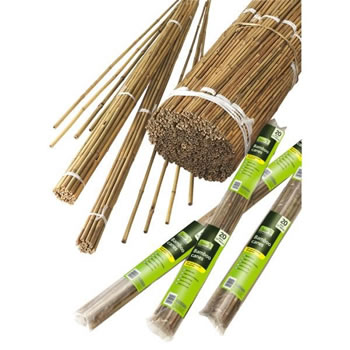 Image of Gardman 120cm Pre-Bulk Bamboo Canes (Pack of 20) (08071)