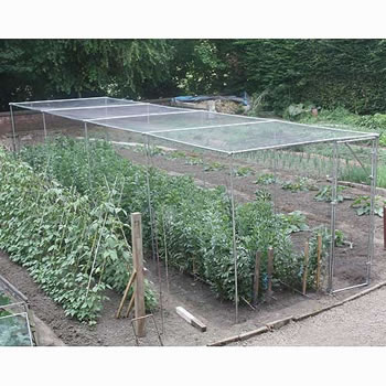 Image of Heavy Duty Fruit Cage 213cm x 488cm x 1707cm with Butterfly Netting