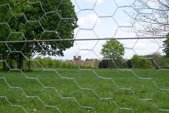 Image of 50m Roll of 1.2m (4ft) Tall Galvanised Chicken Wire Mesh